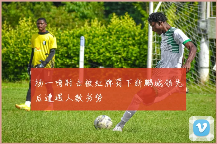 杨一鸣肘击被红牌罚下新鹏城领先后遭遇人数劣势