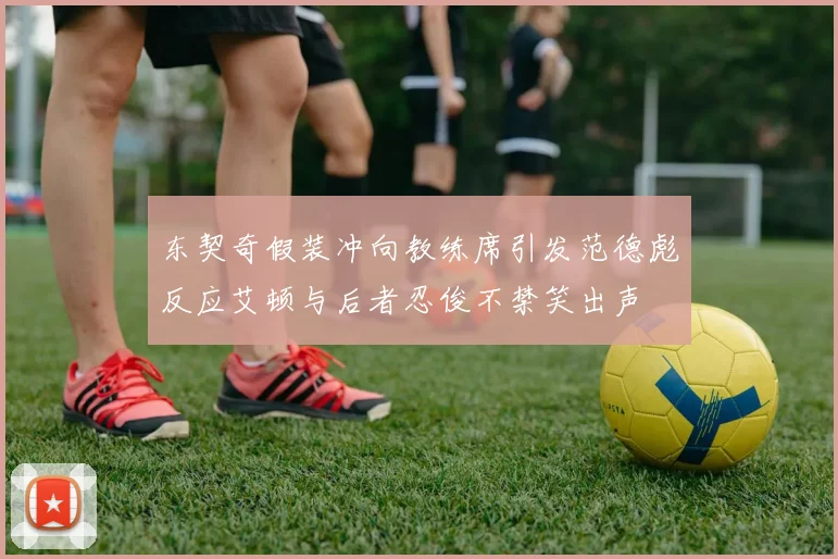 东契奇假装冲向教练席引发范德彪反应艾顿与后者忍俊不禁笑出声